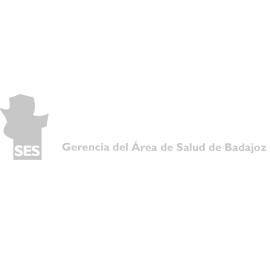 SES - logo en gris